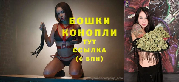 шишки Няндома