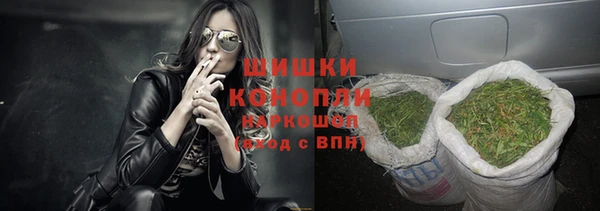 Альфа ПВП Новозыбков