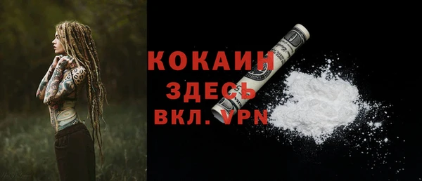 шишки Няндома