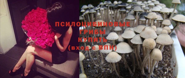 spice Новодвинск