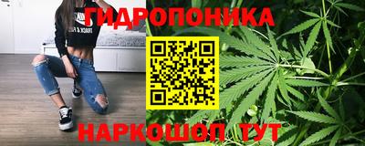 jwh Дубна