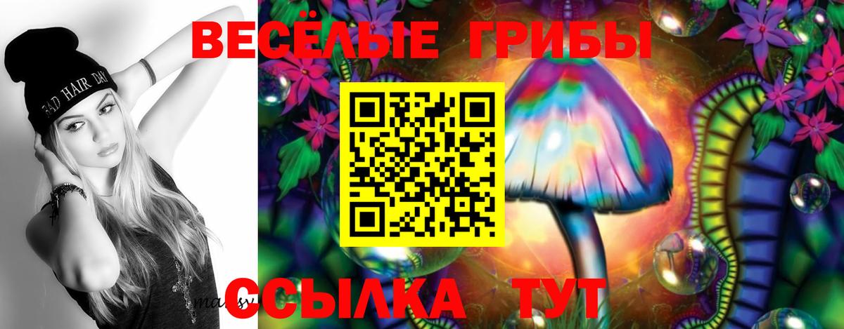 Галлюциногенные грибы мицелий Кондопога