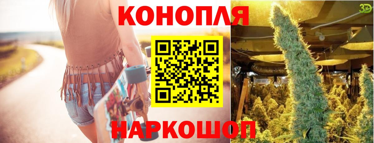 Канабис семена Кондопога